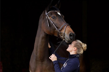 Therapie für Freizeitpferde