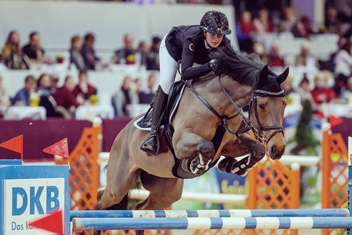 Bianca Kreutz - Physiotherapie und Osteopathie für Sportpferde